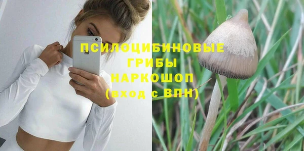 прущая мука Армянск