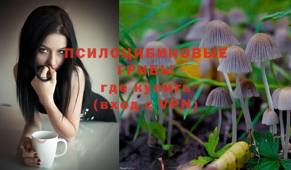 прущая мука Армянск