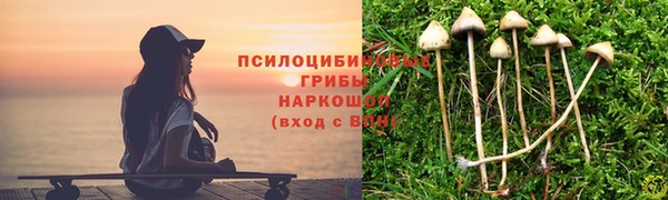 прущая мука Армянск
